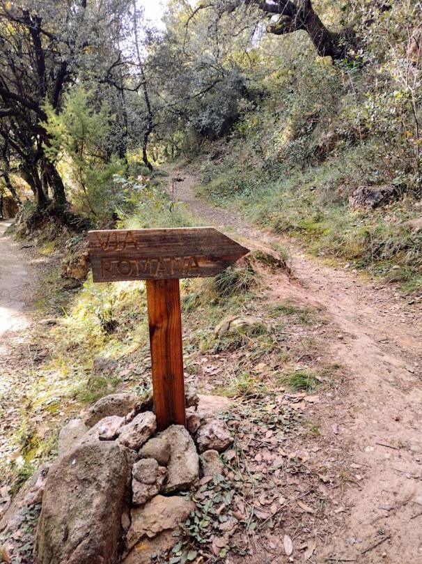Hostal De Bianya La Vall de Bianya Dış mekan fotoğraf